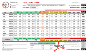 PDF | FEUILLE DE TEMPS | # P-M3SE05-1
